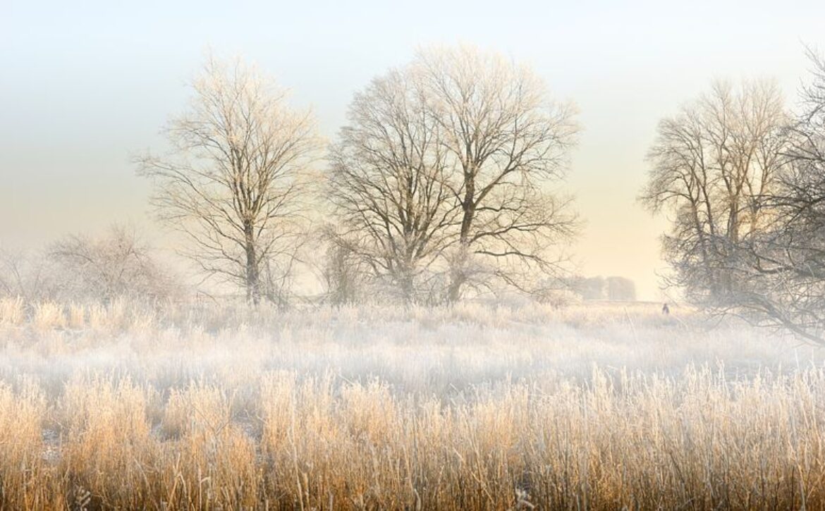 landscape-4007241__480