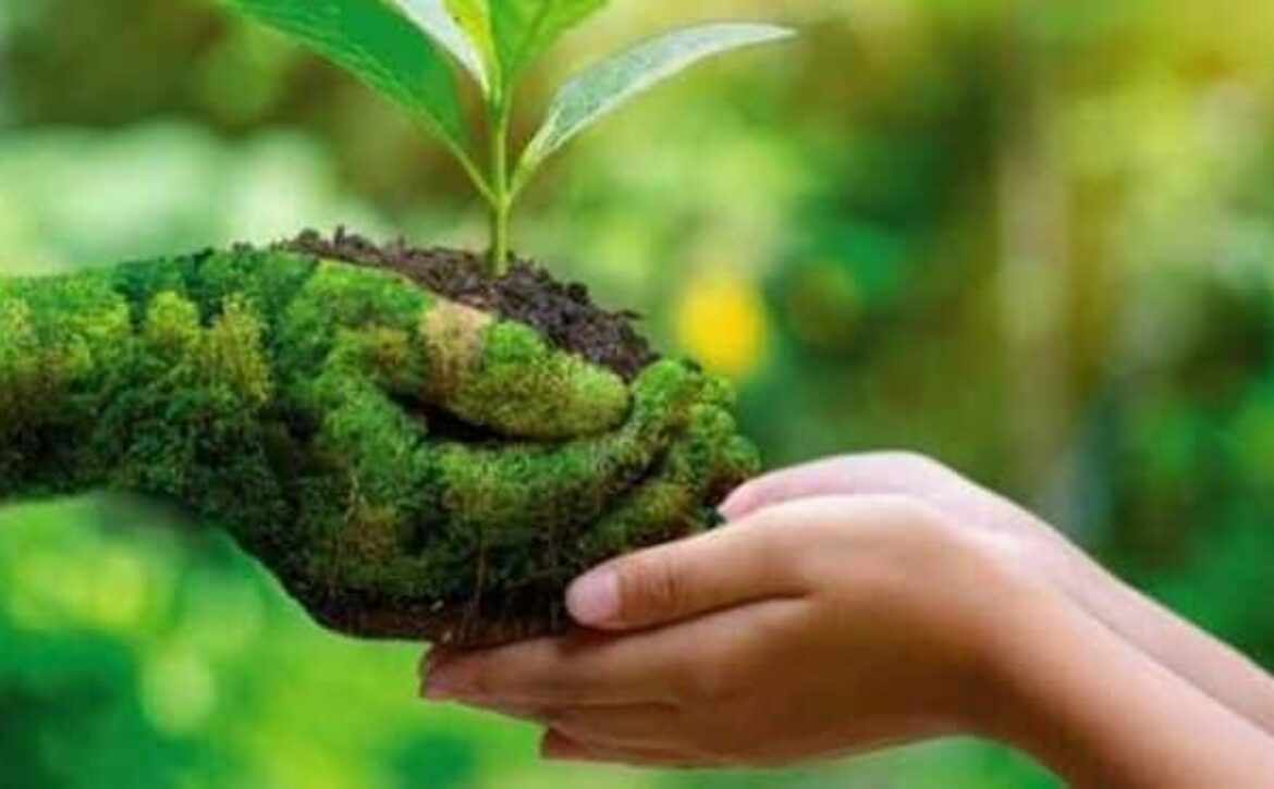 ecologia-integral_2632246786_16884268_660x371