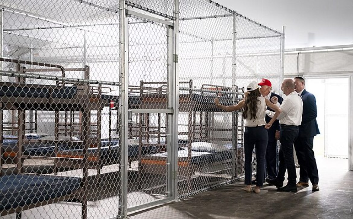 Alligator_Alcatraz_-_54627249257
