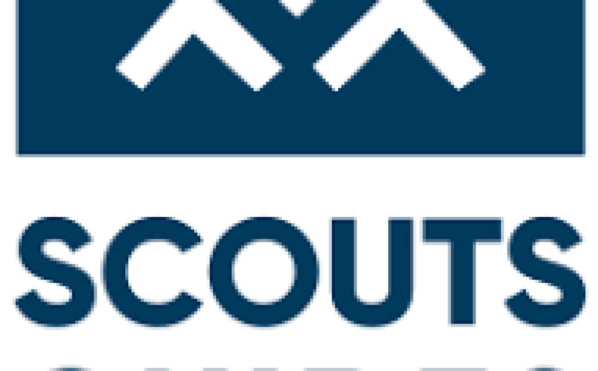 image_1500584_20250814_ob_34b461_logo-scouts