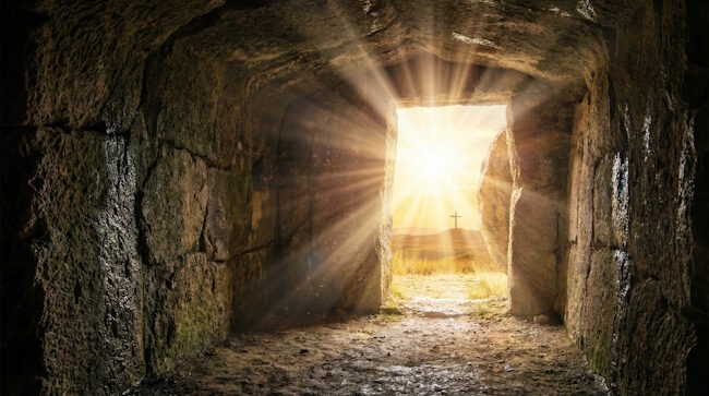 21_D-PASCUA-A_AdobeStock_1879694918