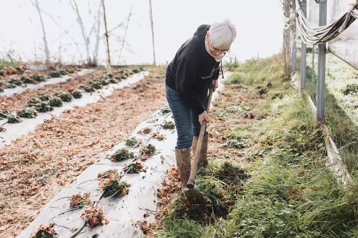 hl_isouriment_3065454_1_-7b8c9.jpg@